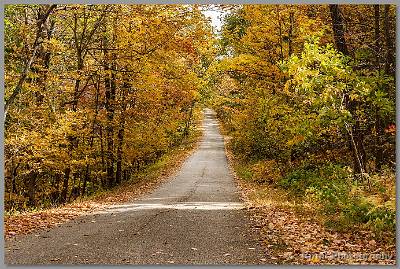 image by Kirms Photography Sunrisr Mtn-Stokes St Forest-1